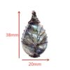 Pingente de Concha de Abalone Natural - Image 6